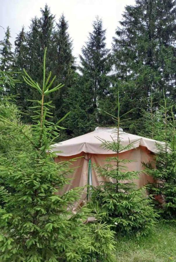 Eco Glamping - Carpathians. Retreat Hub Dzin Space เวอร์คอฟเวอนา ภายนอก รูปภาพ