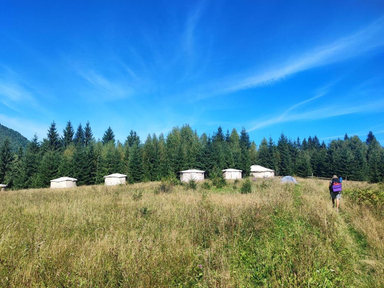Eco Glamping - Carpathians. Retreat Hub Dzin Space เวอร์คอฟเวอนา ภายนอก รูปภาพ